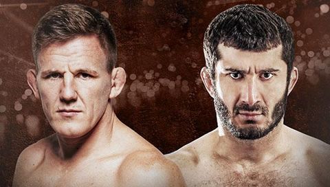 ksw 55 live stream free