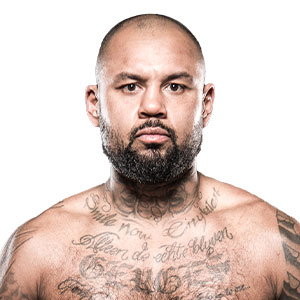 Hesdy Gerges 51 19 1 Fights Stats Videos Fite