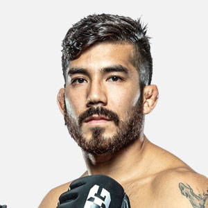 Combate Global David 