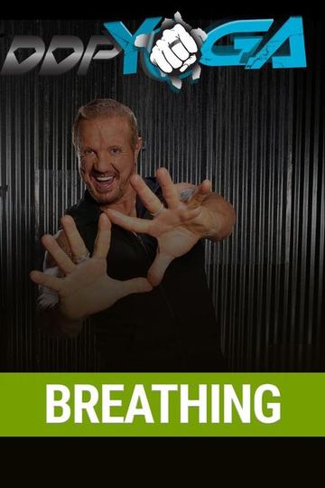 ddp yoga rebuild torrent downl