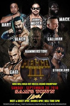 FSW Mecca III