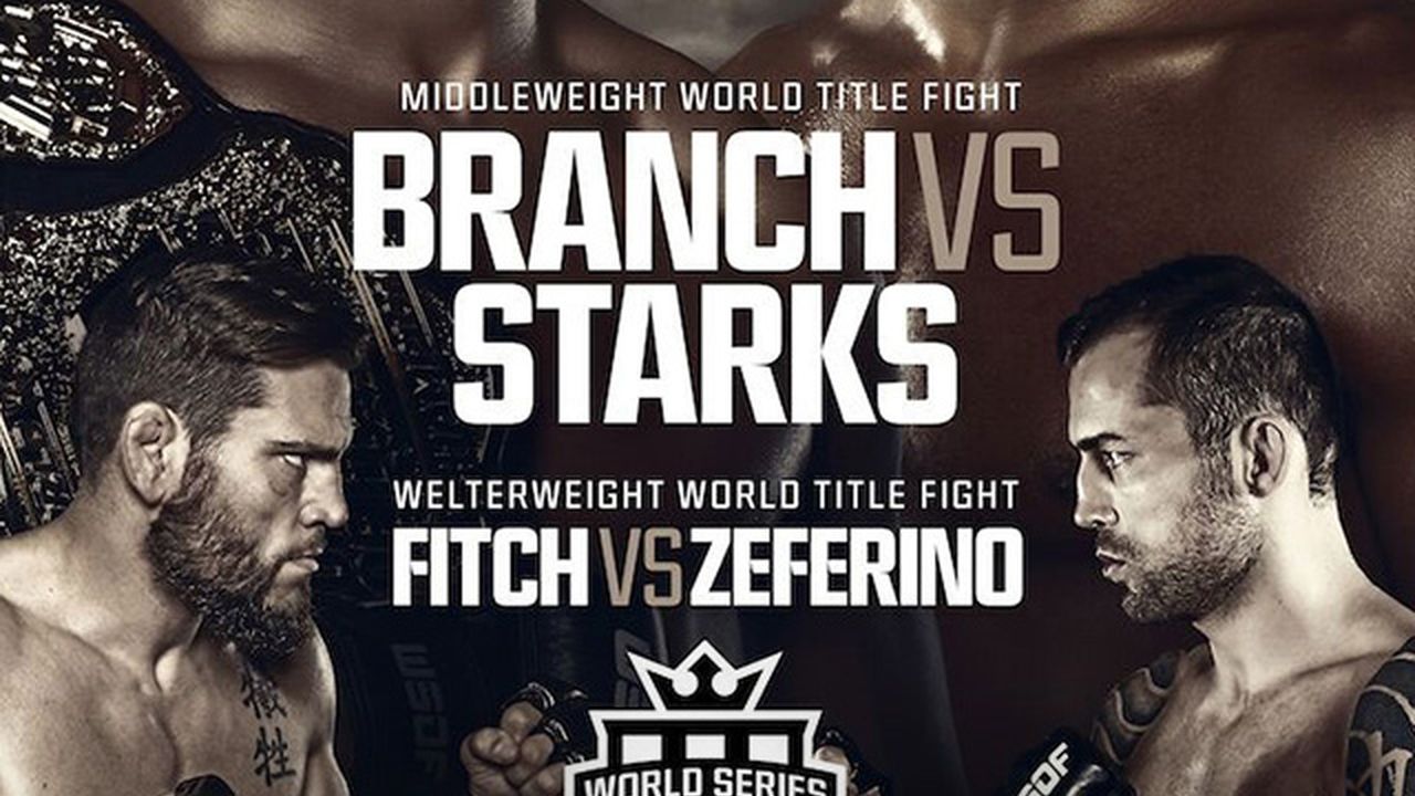▷ WSOF 30 MMA Prelims - Official Free Replay