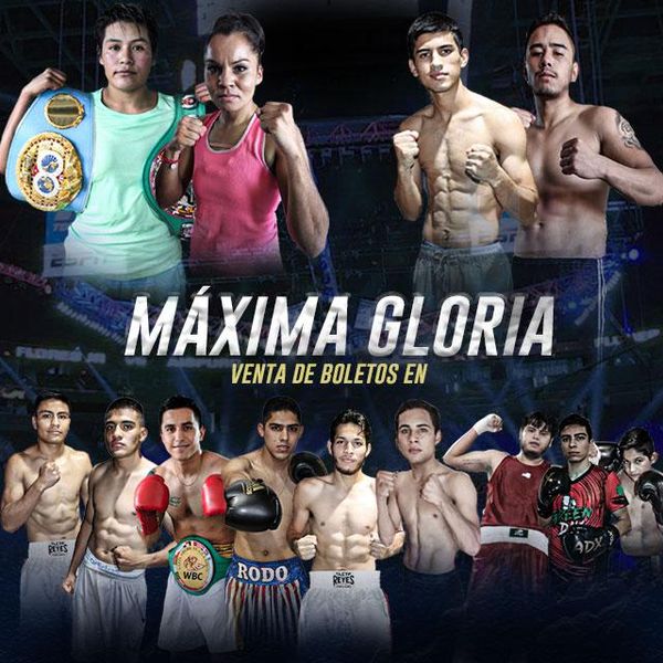 Maxima Gloria